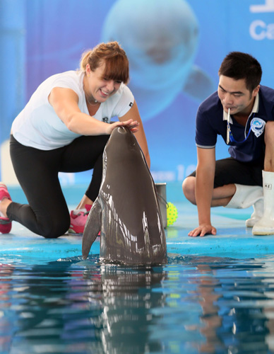 不仅吸引了 不仅吸引了