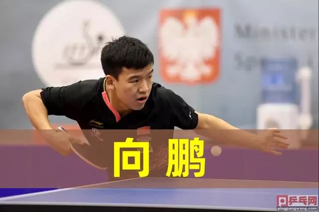 界顶级选手 界顶级选手